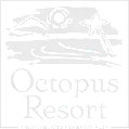 Resort Rooms | Fiji Islands | Octopus Resort fiji